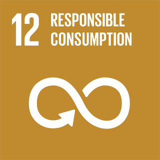 SDG 12 Responsible Consumption