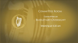budgetary oversight committee