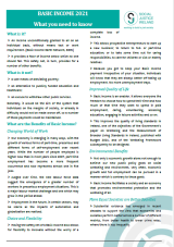Basic Income Quick Guide