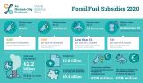 CSO Fossil Fuel subsidies 2020