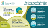 Environmental Subsidies and Similar Transfers 2021