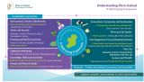 Understanding life in Ireland: A Well-being Framework