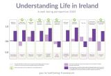 Understanding Life in Ireland: The Well-being Framework 2025 