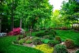 summer garden
