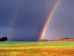 Rainbow & Corn