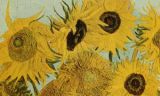 Van Gogh flowers