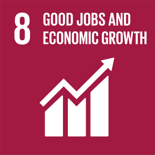SDG 8 Good Jobs