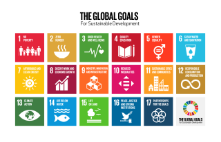 SDGs Grid