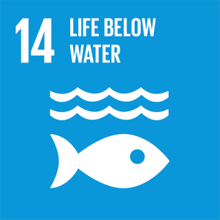 sdg 14