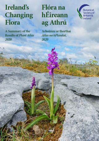 Ireland's changing flora