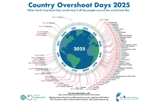 Earth Overshoot Day for Ireland 2025 graphic