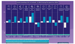 Snapshot of the Dashboard from Government’s Report Understanding Life in Ireland: A Well-being Perspective 2024